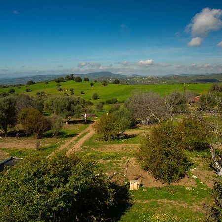 فندق Camping Panorama Ouazzane المظهر الخارجي الصورة