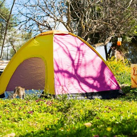 فندق Camping Panorama Ouazzane المظهر الخارجي الصورة